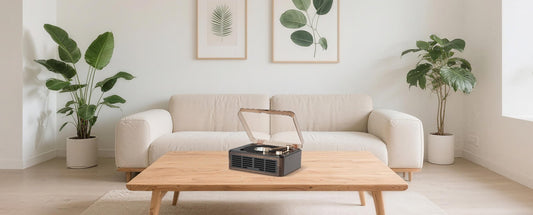 Press Play for Calm: How Music Can Slow Down Your Fast World - Gueray